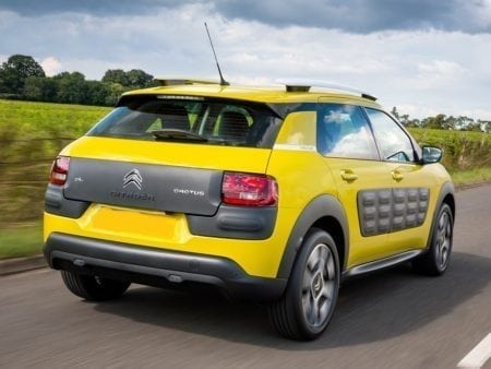 c4 cactus rear