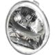 Faro Delantero Derecho DAEWOO-CHEVROLET MATIZ (2001-2005) | 11231602