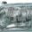 Faro Delantero Derecho FORD ORION II (1986-1990) | 11311722