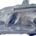 Faro Delantero Derecho RENAULT SCENIC I (1996-1999) | 11805522