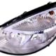 Faro Delantero Derecho RENAULT SCENIC II (2003-2005) | 11808202