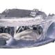 Faro Delantero Derecho SEAT TOLEDO II (1999-2004) | 11854202