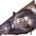Faro Delantero Izquierdo HONDA JAZZ (2002-2008) | 11373101