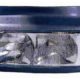 Faro Delantero Izquierdo RENAULT PREMIUM 340 (1996-2005) | 11809501