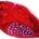 Piloto Trasero Derecho PEUGEOT 207 3/5P (2006-2009) | 16544232