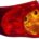Piloto Trasero Izquierdo TOYOTA COROLLA Sedan 4P (2007-2010) | 16900931