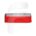 TULIPA ORIGINAL PILOTO TRASERO EUROPOINT III SCHMITZ MONTENEGRO LECITRAILER IZQUIERDO