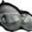 FARO DELANTERO DERECHO MERCEDES SPORTCOUPE W203 AÑO 2000 A 2004