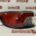 Piloto trasero izquierdo Ford Kuga Año 2020 a 2023 LV4B-13405-BB (Articulo Reciclado)