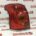 Piloto Trasero Izquierdo TOYOTA AVENSIS WAGON año 2003 a 2006FAMILIAR 8156105172