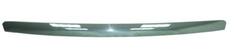 Moldura Capó (Cromado) Ford Focus (2008->)