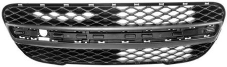 Rejilla Paragolpes Frontal Peugeot 107 (2009->)