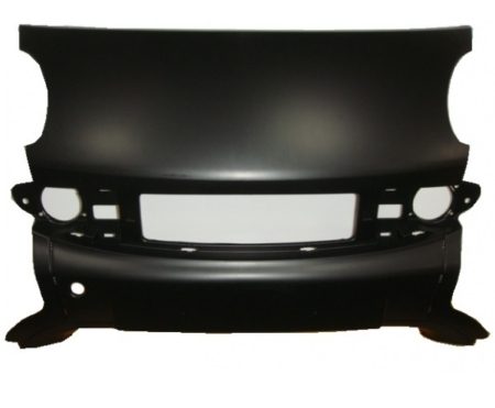Paragolpes Frontal Mcc Smart Fortwo (2002->) (Central)