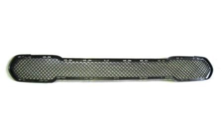 Rejilla Inferior Paragolpes Frontal Bmw X1 (2009->2012)