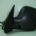 Espejo Retrovisor Completo Izquierdo Térmico Citroen Berlingo/Partner (1996->)