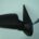 Espejo Retrovisor Completo Derecho Fiat Palio 5p (2001->)