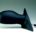 Espejo Retrovisor Completo Derecho Renault Laguna (1994->)