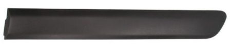 Moldura Puerta Trasera Izquierda Fiat Doblo (2005.11->)
