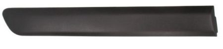 Moldura Puerta Trasera Derecha Fiat Doblo (2005.11->)