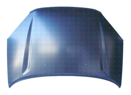 Capó Toyota Rav4 (2001->)