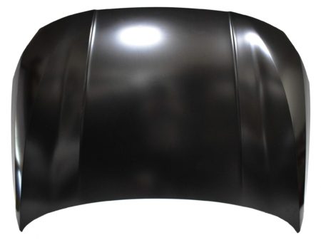 Capó Bmw Serie 1 F40 (2019.07->) (Chapa)