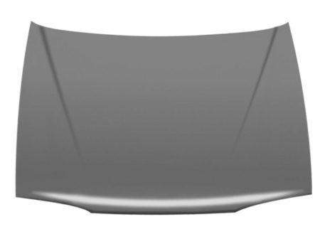 Capó Renault 19 (1992->)