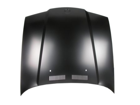 Capó Bmw E36 (1991->) (2P)