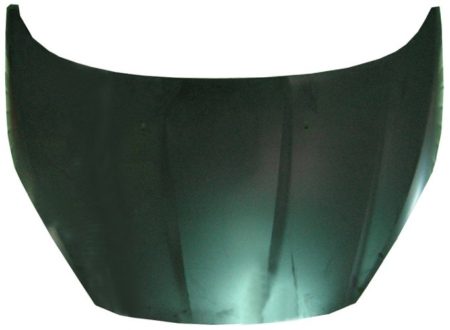 Capó Ford Fiesta (2013->)