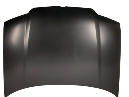 Capó Volkswagen Bora/Jetta (1998->)